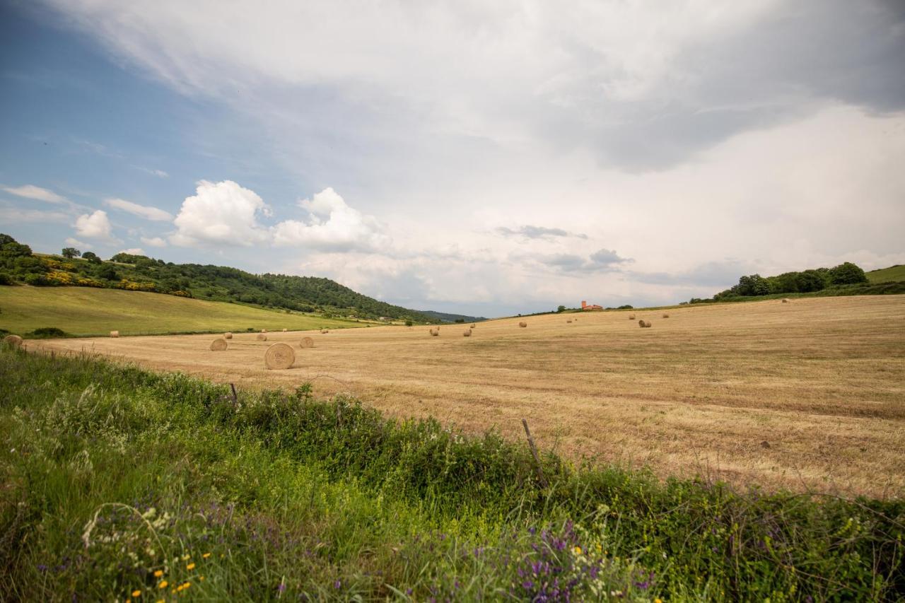 Agriturismo Lago Di Mezzano Valentano Экстерьер фото